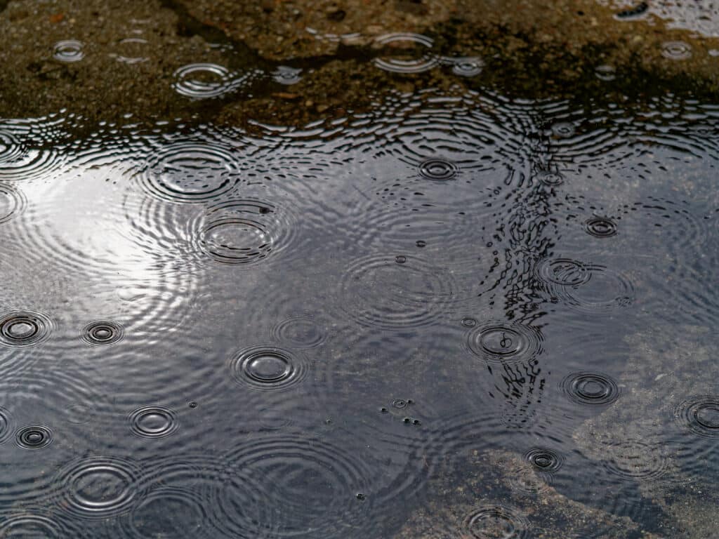 Raindrops hitting a puddle on worn pavement, showing how fall storms and moisture accelerate asphalt and concrete deterioration.